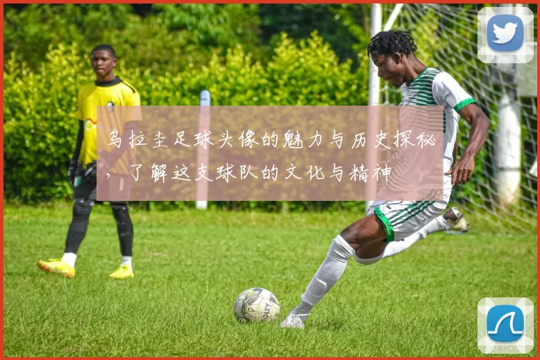乌拉圭足球头像的魅力与历史探秘，了解这支球队的文化与精神