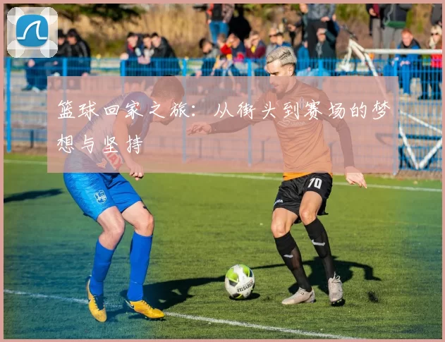 篮球回家之旅：从街头到赛场的梦想与坚持