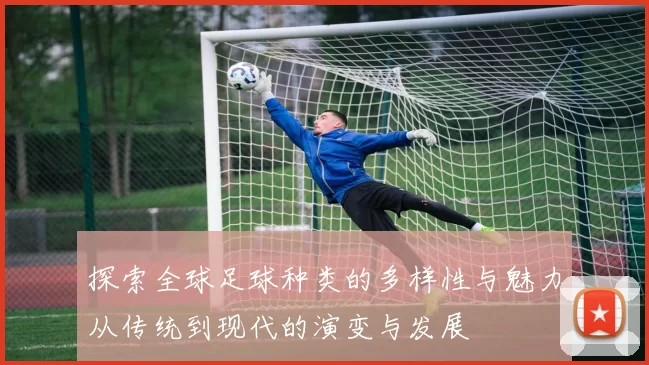 探索全球足球种类的多样性与魅力从传统到现代的演变与发展