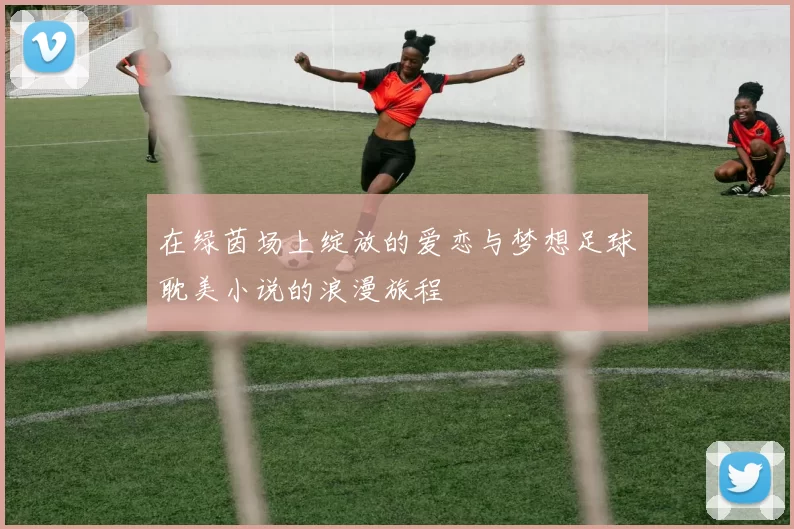 在绿茵场上绽放的爱恋与梦想足球耽美小说的浪漫旅程