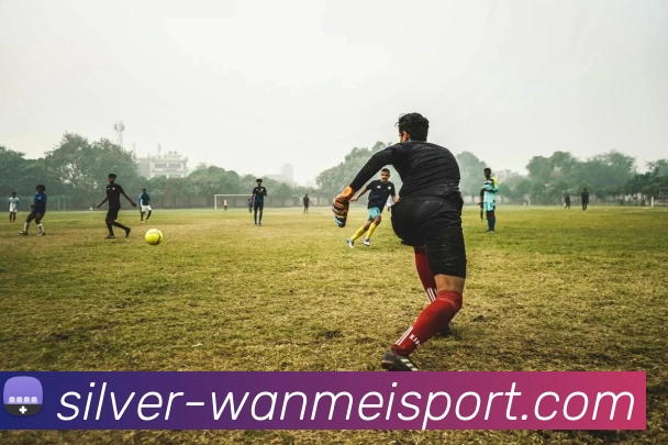 完美体育品牌故事