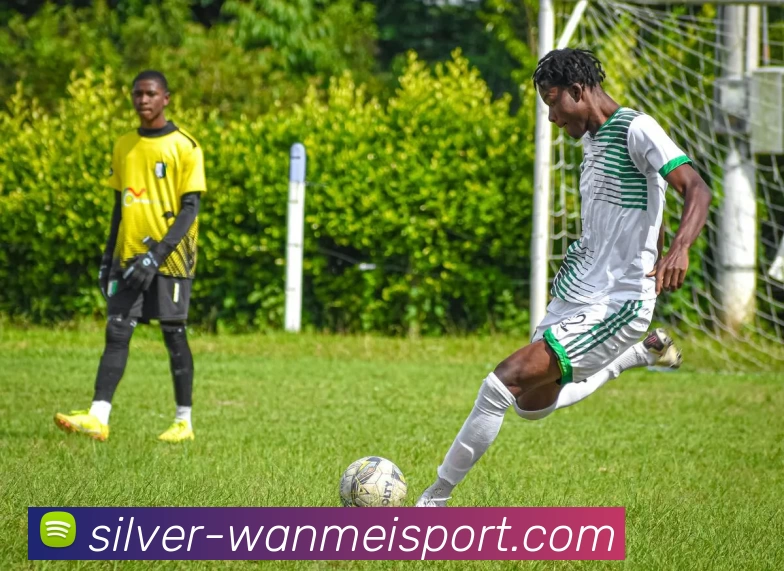 完美体育服务体系